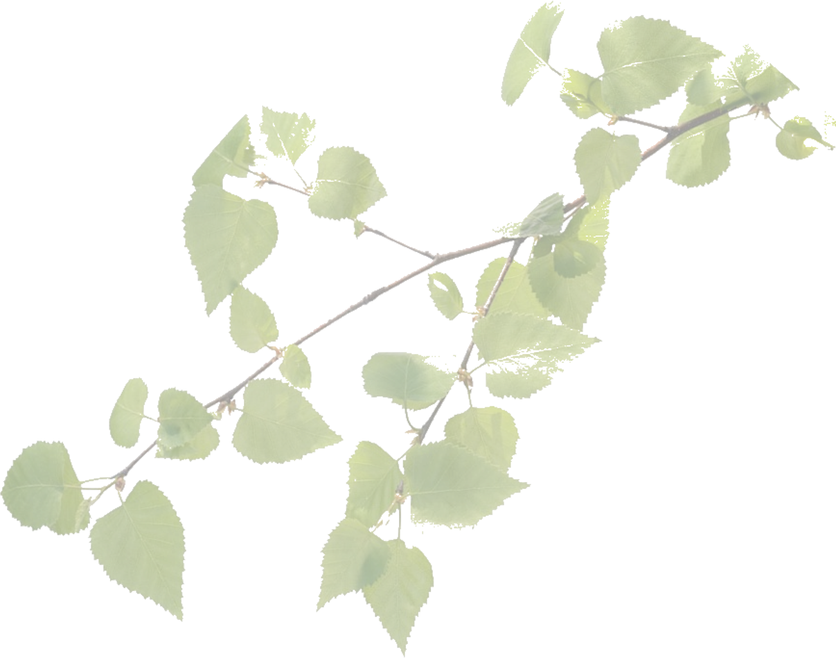 output-onlinepngtools-1-e1750417951216-BIGGER(2)